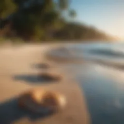 A serene beach with golden sands and clear blue waters