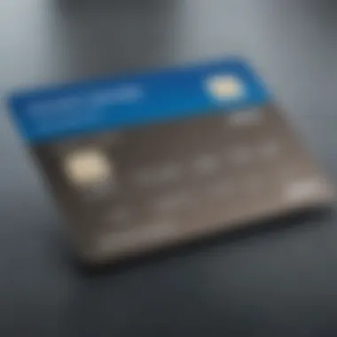 User interface of the Amex Bluebird Card application