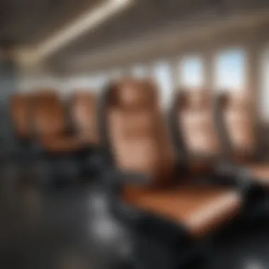 Diverse Designs of Coach Plane Seats Overview of various coach plane seat designs