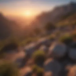 Scenic view of a national park at sunrise