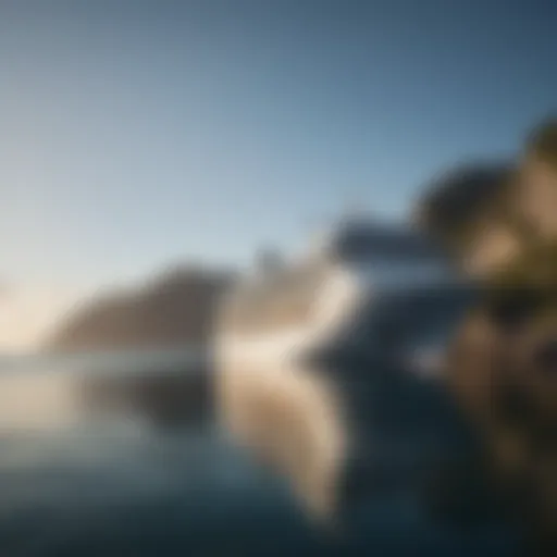 Cruise ship anchored at sea