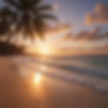 A breathtaking sunset over a pristine beach with palm trees swaying gently in the breeze.