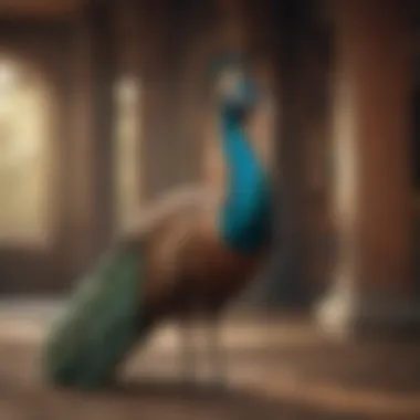 User Experience and Satisfaction User feedback and experiences with Peacock Premium