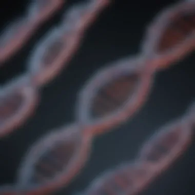 A conceptual illustration of DNA strands symbolizing innovation in biotech