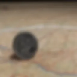 A map highlighting various state responses to stimulus checks