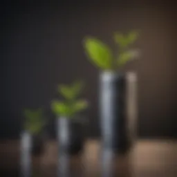 Visual representation of compound interest growth over time